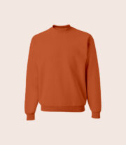 Sweatshirt - Görsel 2